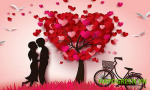 Top 59+ Món quà valentine ý nghĩa, dễ thương cho người yêu