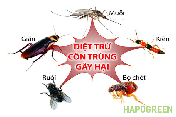 binh-xit-thuoc-diet-con-trung-con-ong-vang-cov16-3