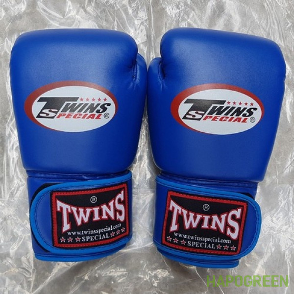 gang-tay-boxing-twins-3