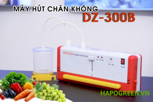 may-hut-chan-khong-dz-300b-1