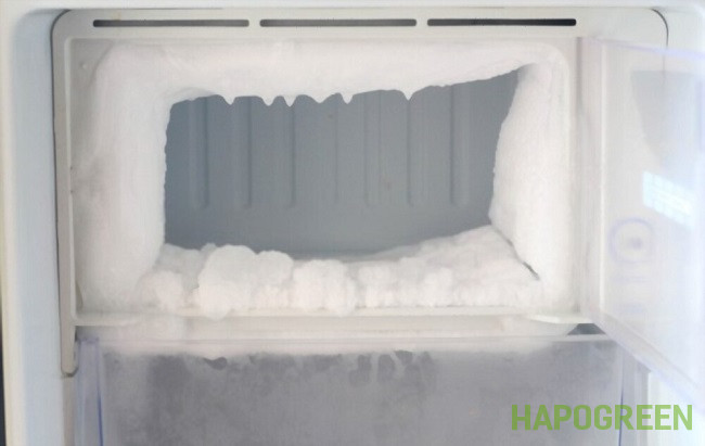  tủ lạnh bị đóng tuyết 6